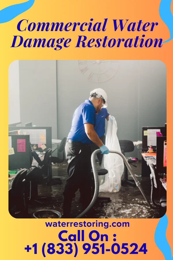 Commercial Water Damage Restoration in Eitzen, MN